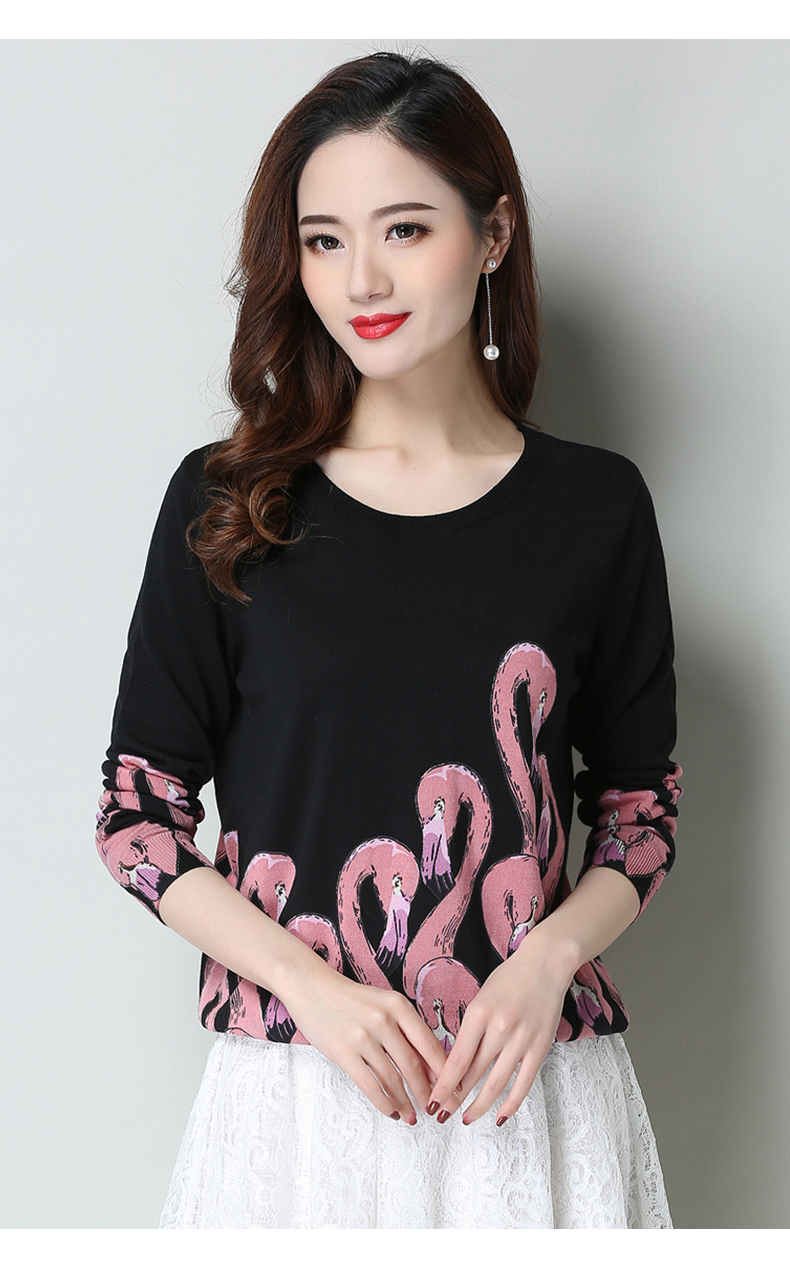 Flamingo Pattern Print Sweater Pullover Women New 2019 Spring Jumper ...
