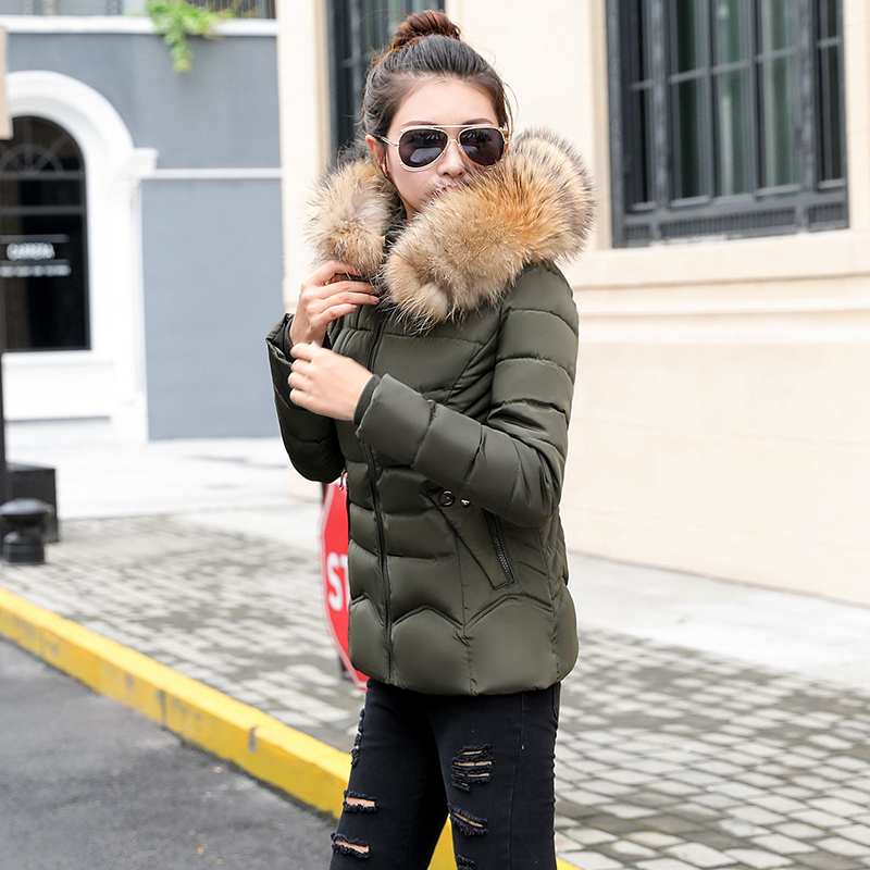 Female Autumn Winter Jacket 2019 Fashion Women Parka Hooded Fake silver ...